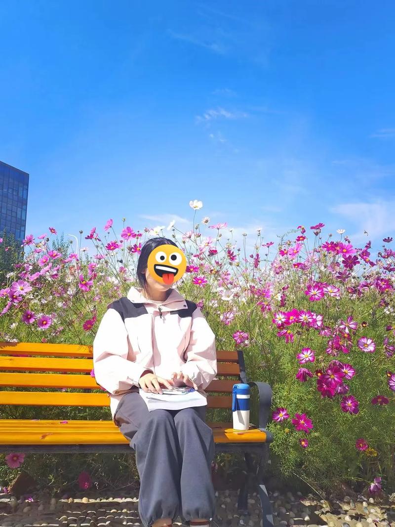 17C一起c(17c一起草 )