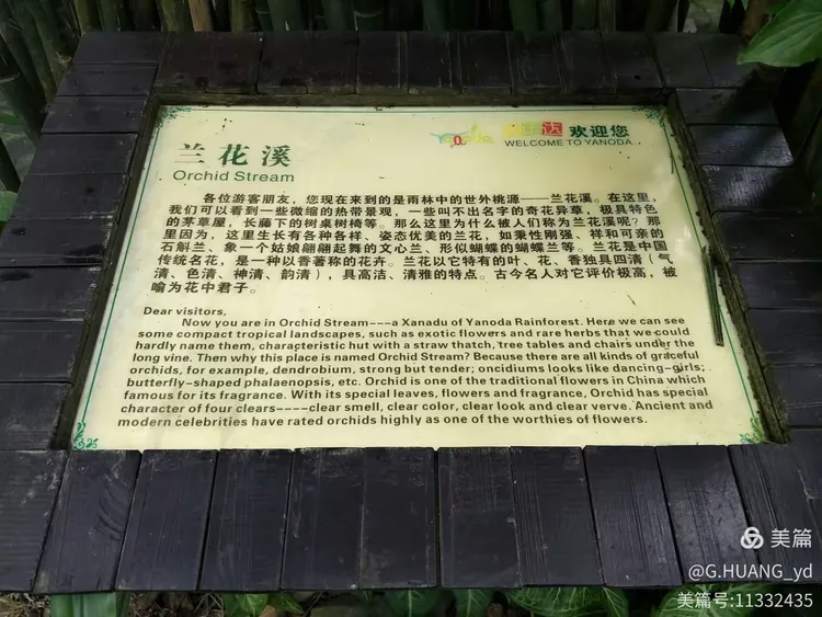 天堂mv在线mv青果园(天堂mv在线mv青果园视频)