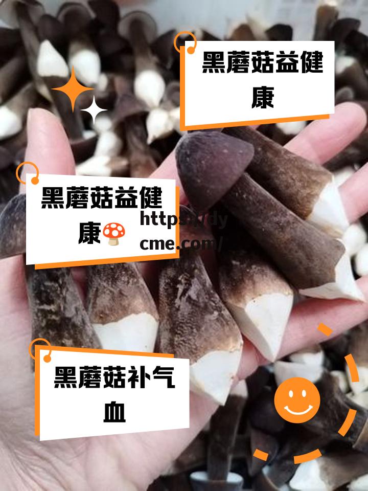 包含91黑料蘑菇的词条