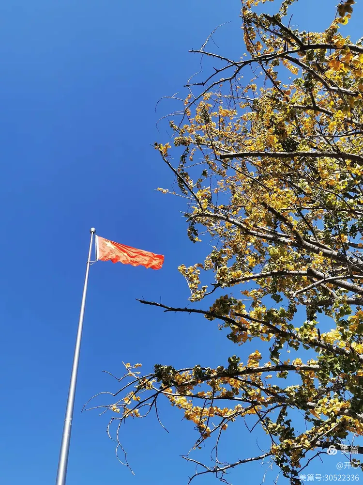 九一网页免费版(国外免费外贸网站)