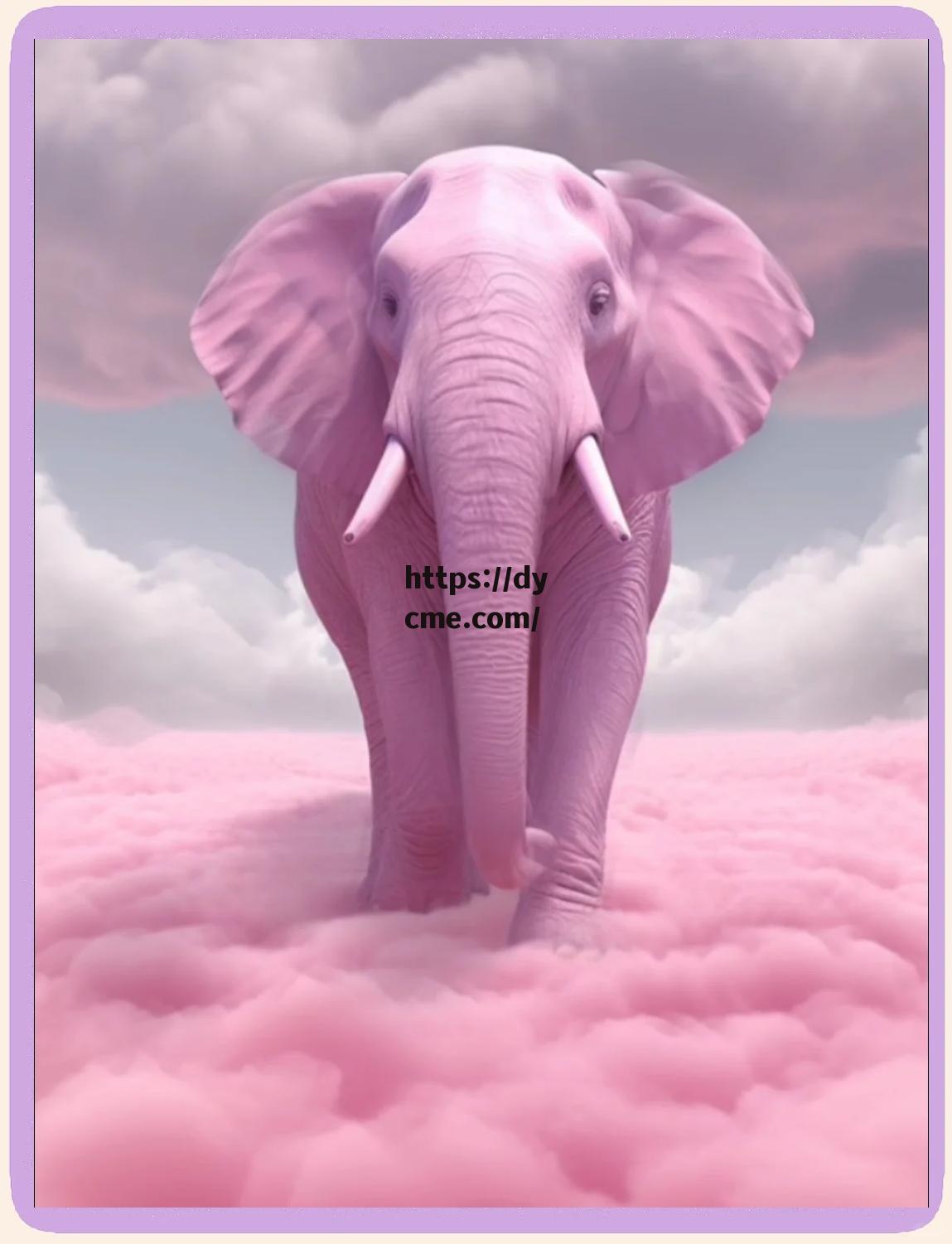 大象天美(大象之美什么意思)