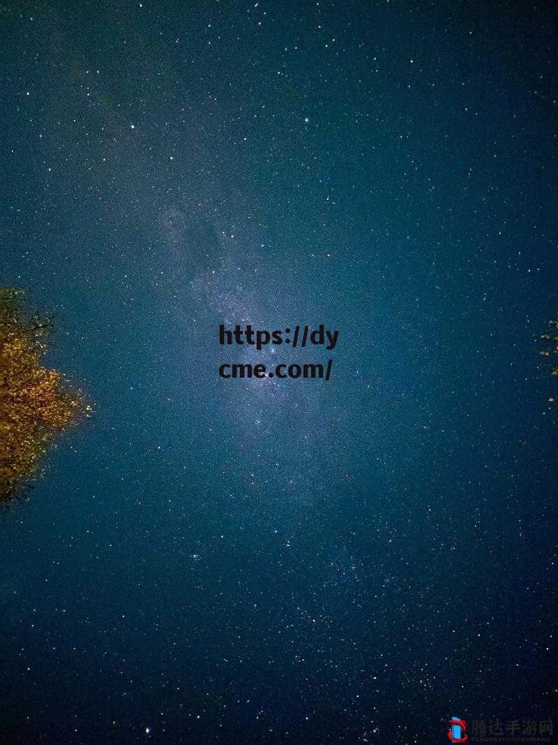 星空麻花mv九一在线观看的简单介绍