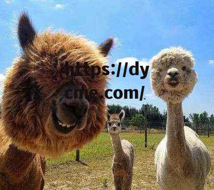 草泥马影院(草泥在线视讯)