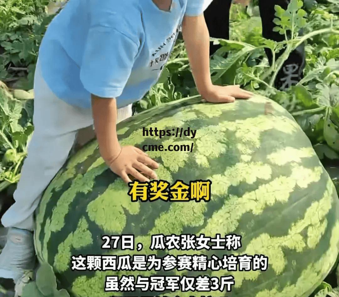 今日吃瓜51cg热门大瓜(今日吃瓜51cg热门大瓜视频)