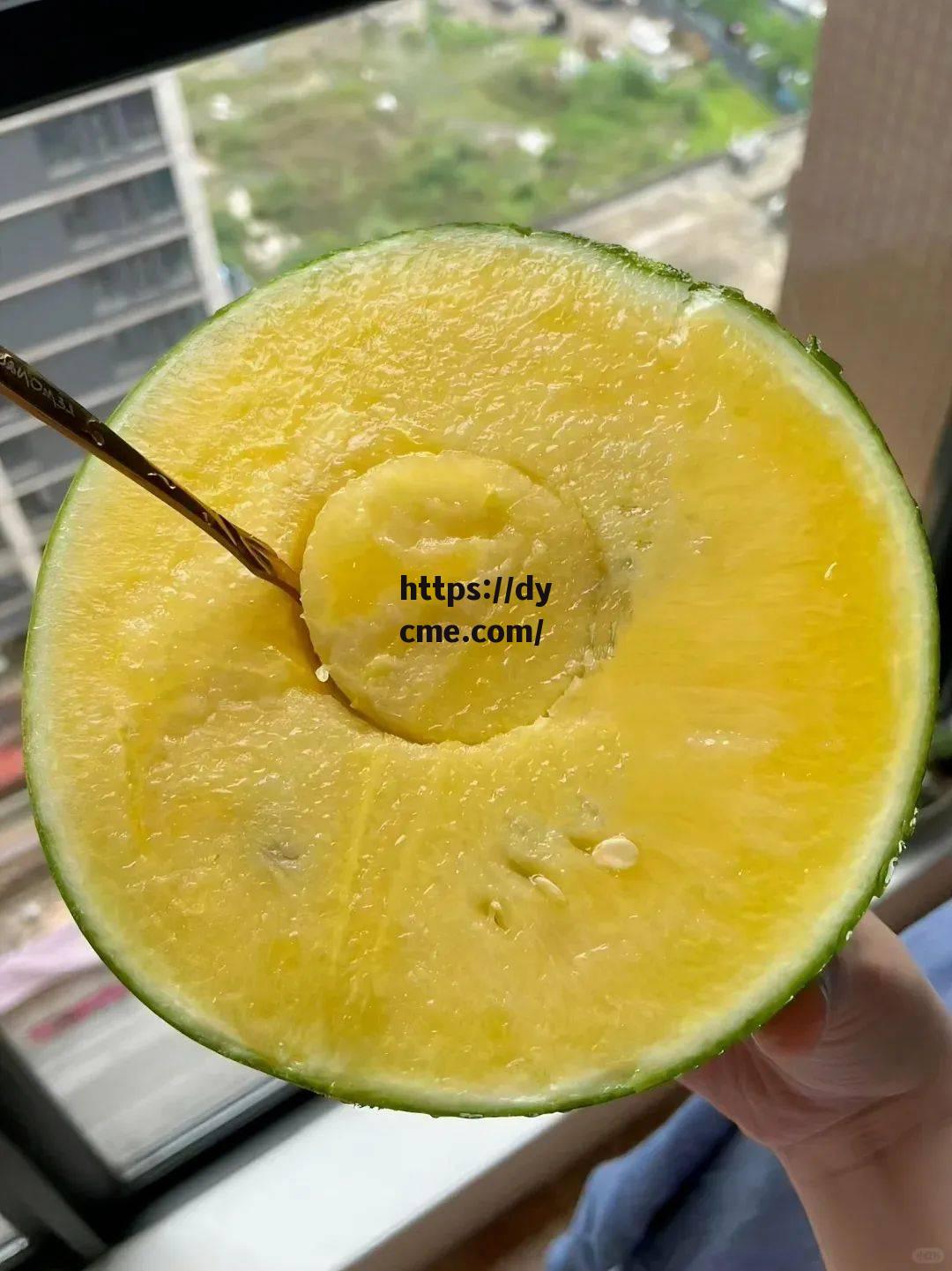 今日吃瓜51cg热门大瓜(今日吃瓜51cg热门大瓜视频)