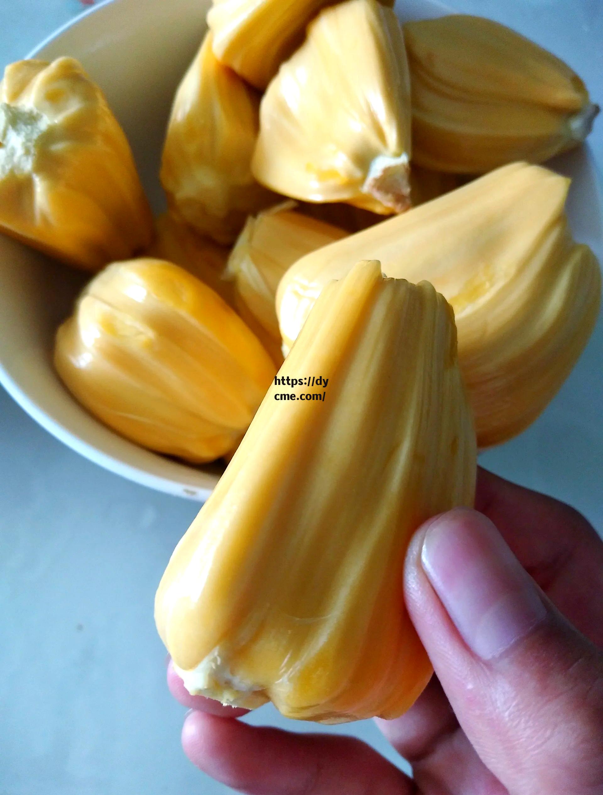 菠萝菠萝蜜免费春姑的简单介绍