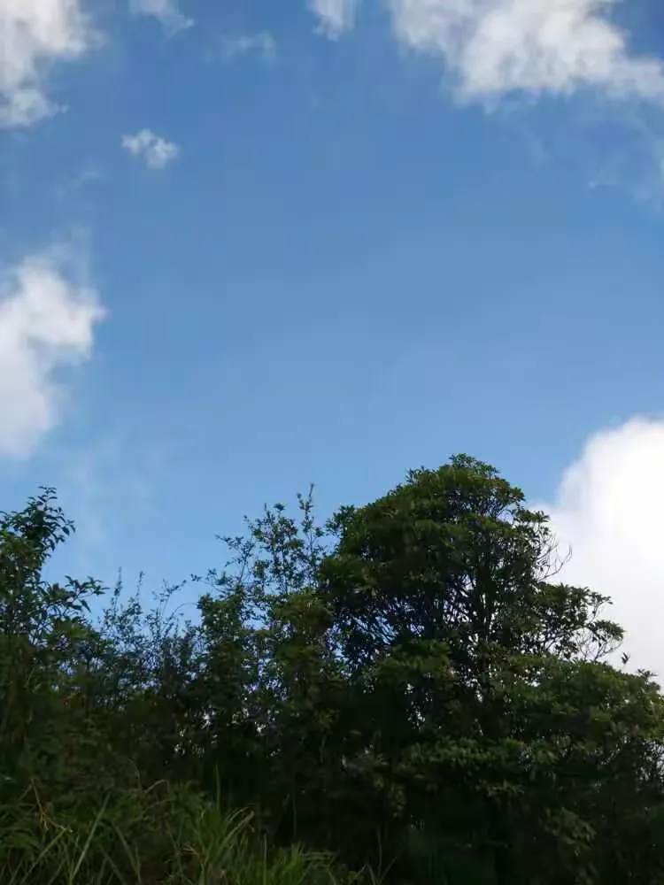 在线观看天堂mv在线小草mv免下载_亚州高清免费一级完整中文版在线看中文版_九九靖品网站免费在线_中文字幕中文字摹在线中高清免费版的简单介绍