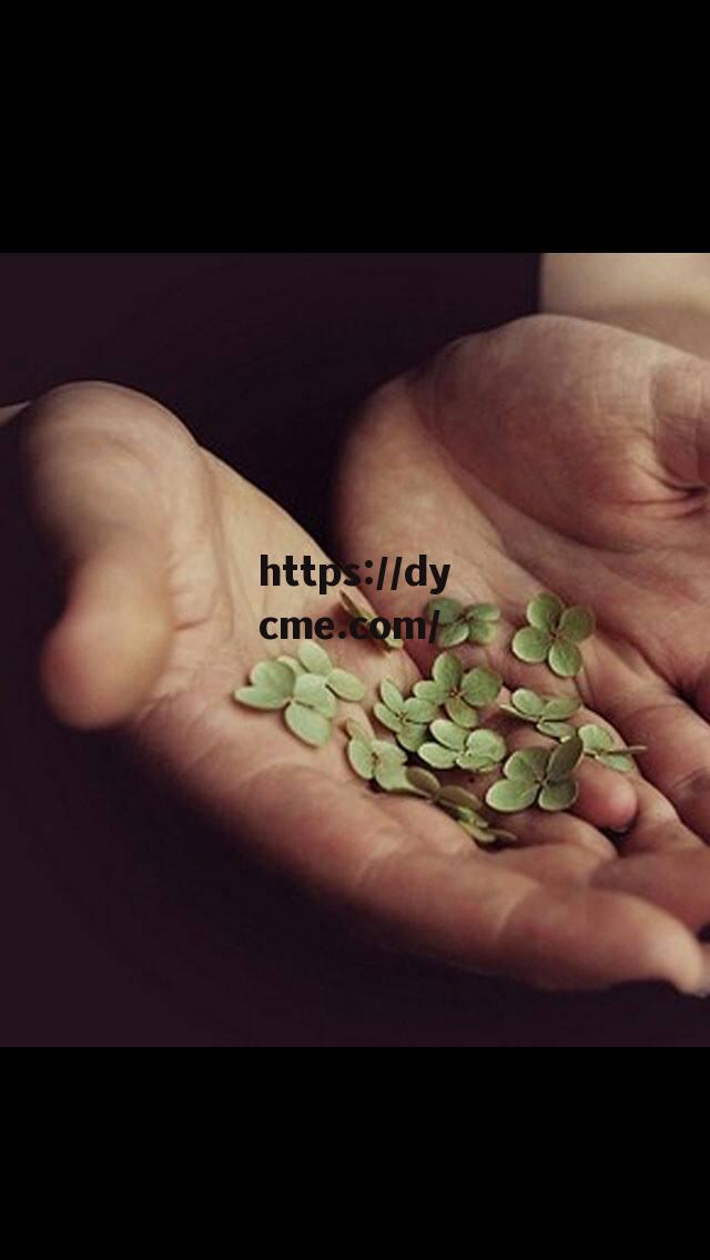 四叶草实验研究(四叶草实验研究方向)