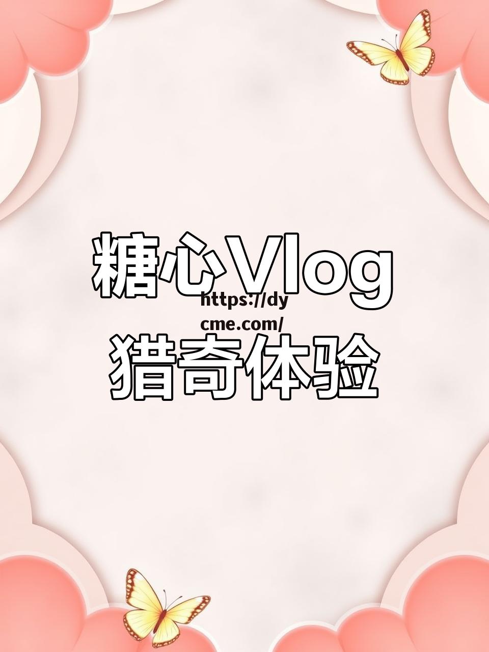 txvlog糖心破解版网站版无限看的简单介绍