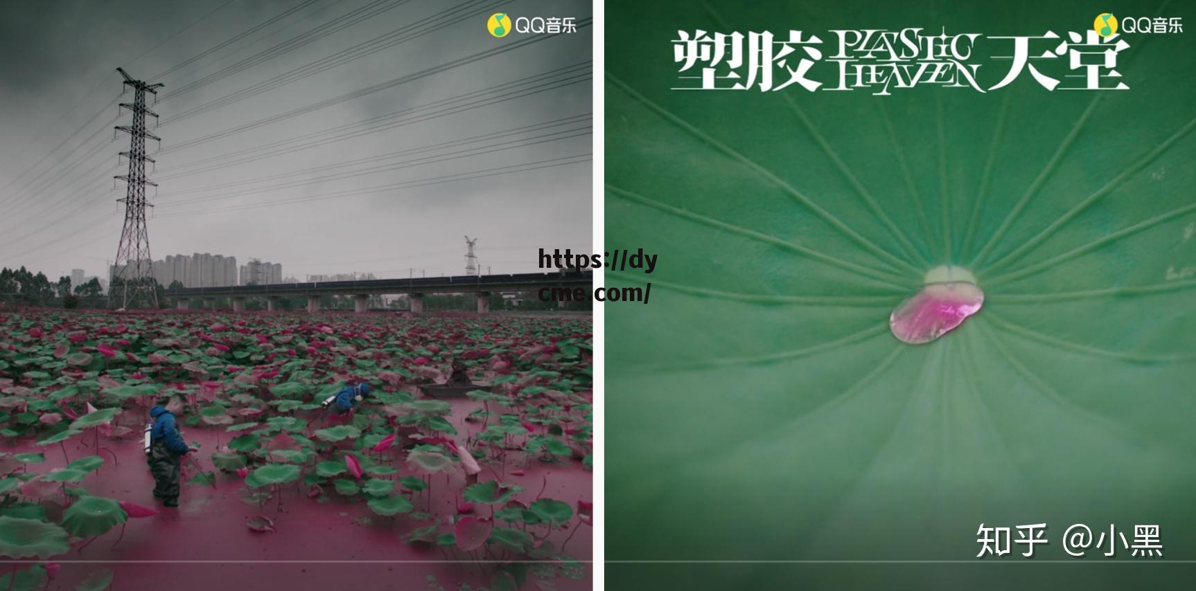 天堂网mv免费mv网页版的简单介绍