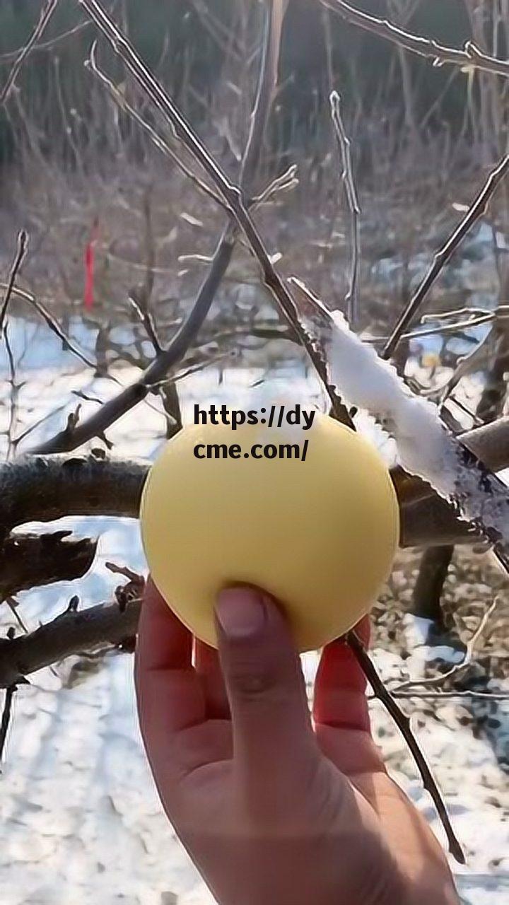 911爆料免费观看糖心的简单介绍