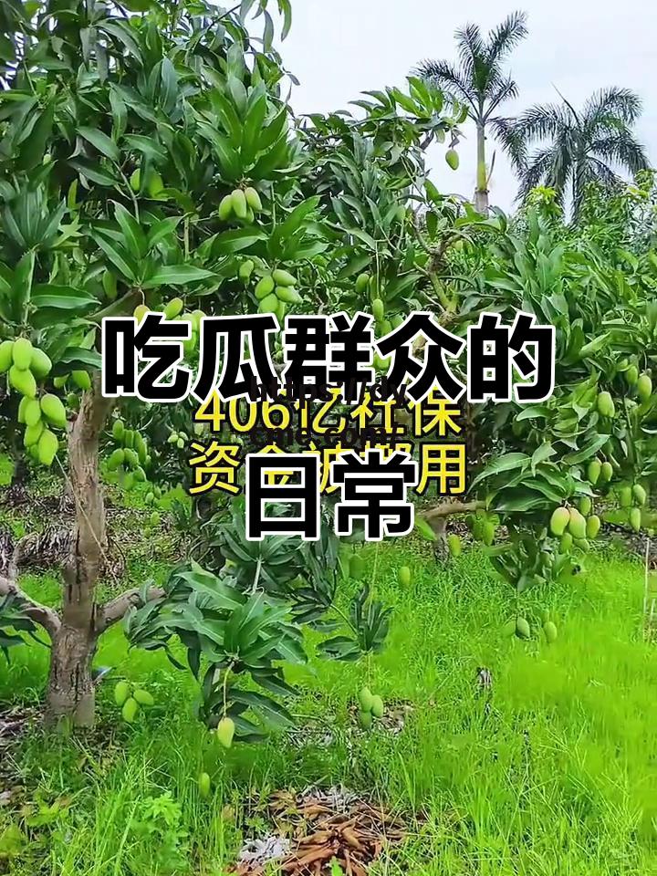 52今日吃瓜大瓜fun的简单介绍