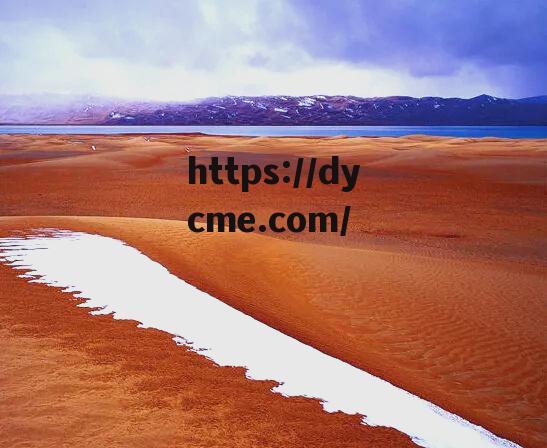 视频一线无人区(视频一线无人区免费观看)